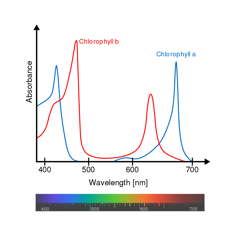 Plnospektrální GROW LED modul - Plnospektrální LED modul podporuje funkce chlorofylu