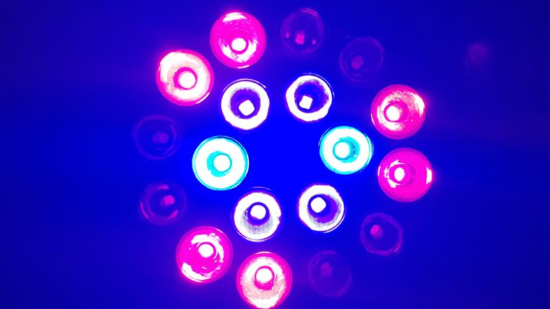 Biostimulační světlo pro ošetření kožních potíží - fialová modrá červená a infračervená fototerapie